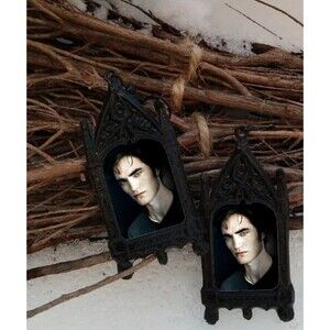 Edward Cullen Twilight Earrings - Vampires Eclipse Crush Romance Fantasy
